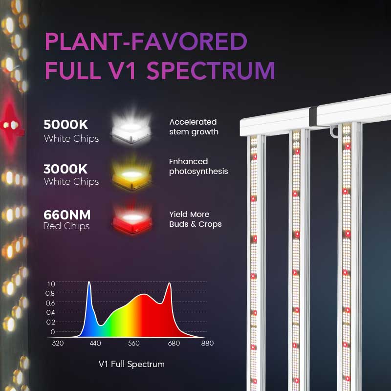 Medic Grow Fold-800 Full-Spectrum LED Grow Light 800w for 4x4 Planting ETL & DLC Certified - Medicgrow