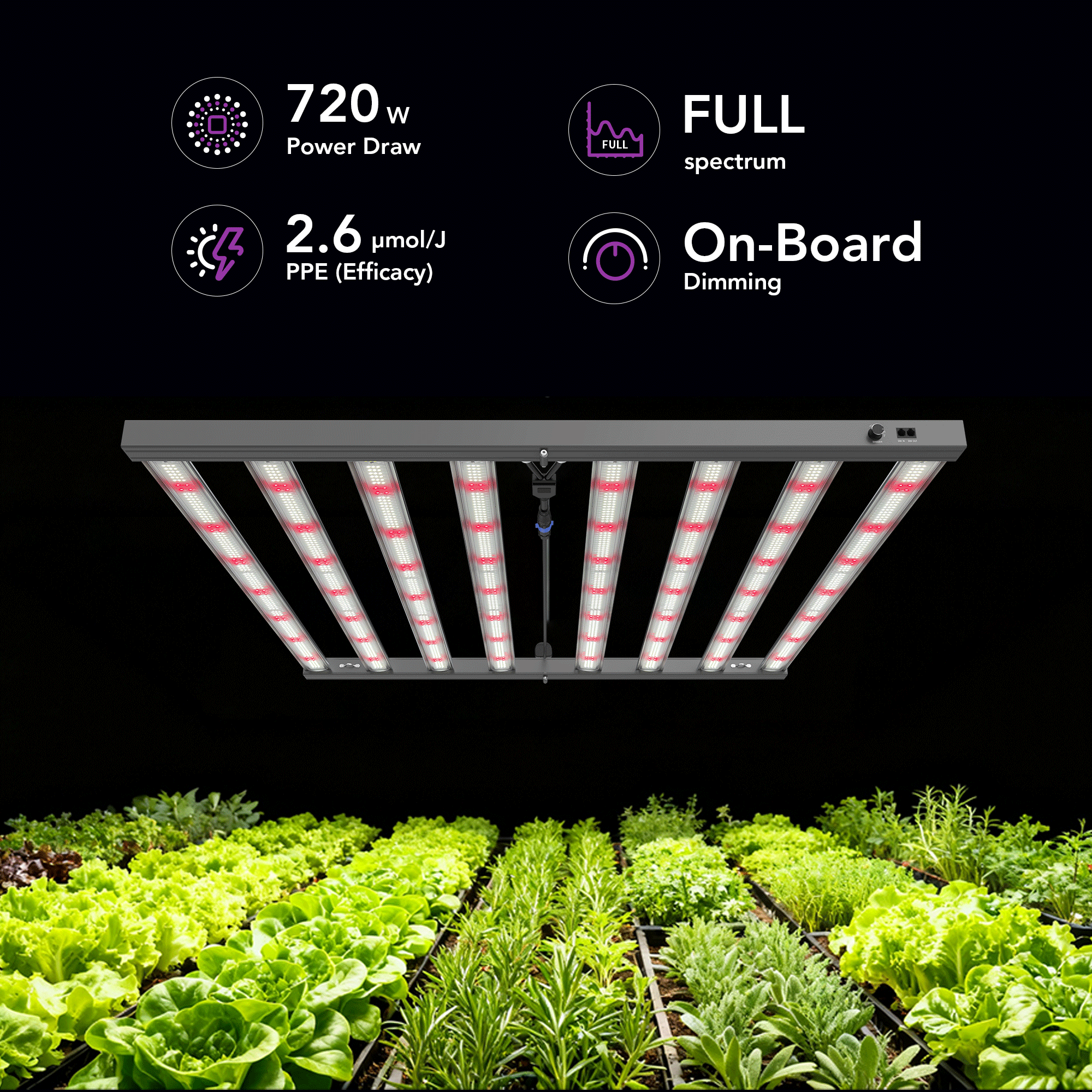 Medic Grow MEDIC BOX 07 Dimmable Full-Spectrum LED Grow Light 720w for 4x4 Planting - Medicgrow
