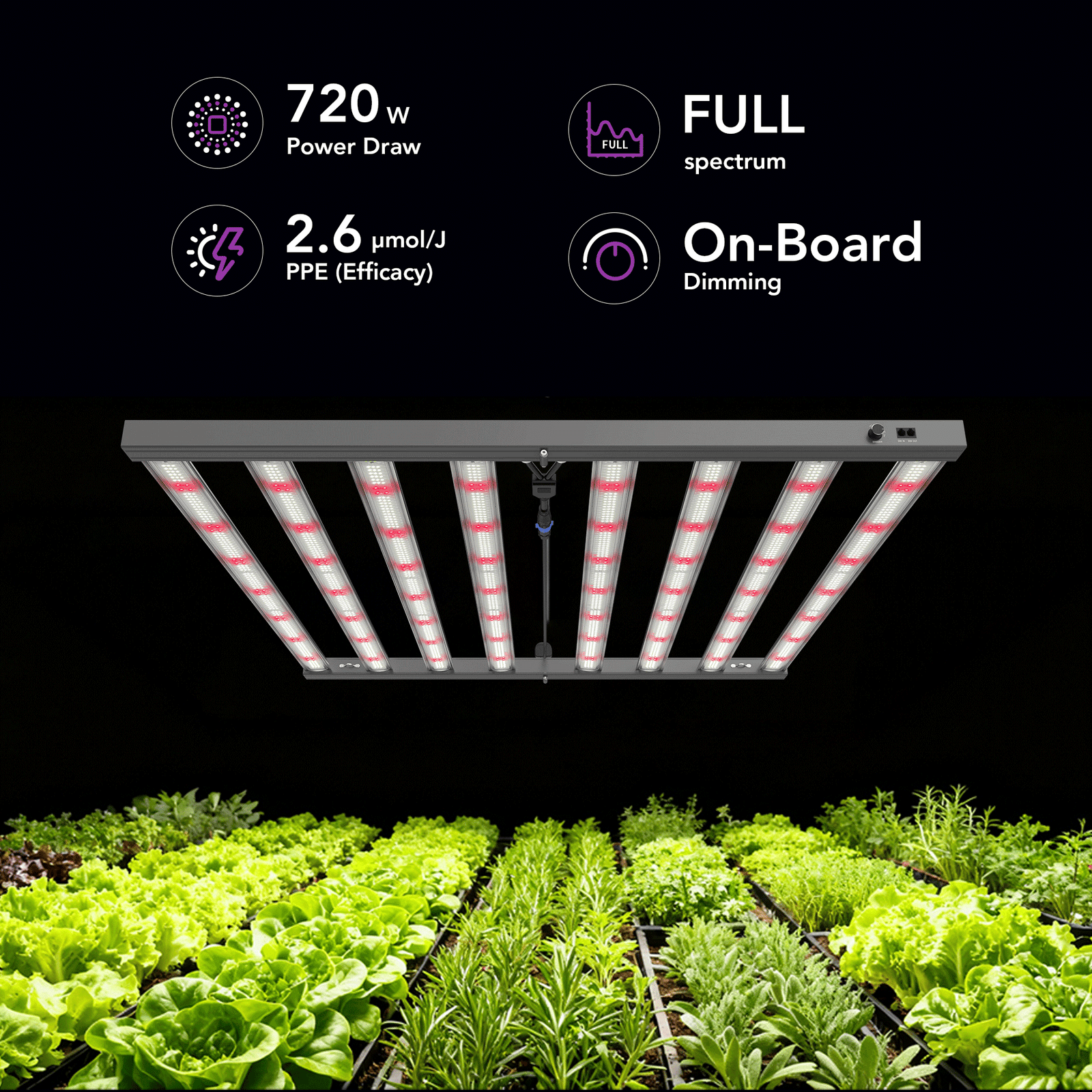 Medic Grow MEDIC BOX 07 Dimmable Full-Spectrum LED Grow Light 720w for 4x4 Planting - Medicgrow