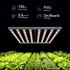 Medic Grow MEDIC BOX 07 Dimmable Full-Spectrum LED Grow Light 720w for 4x4 Planting - Medicgrow