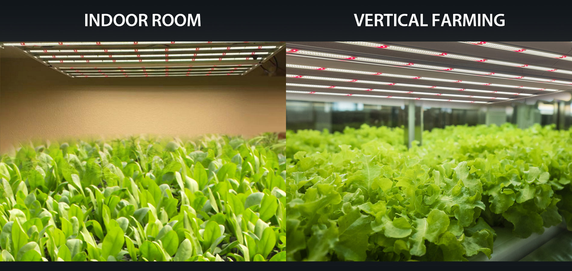 Neo-780 Smart Adjustable Spectrum LED Grow Lights