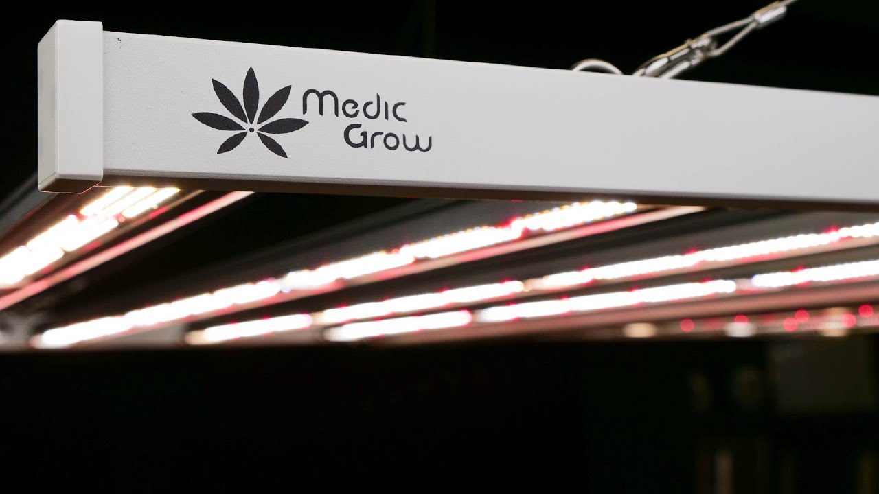 LED GROW LIGHTS