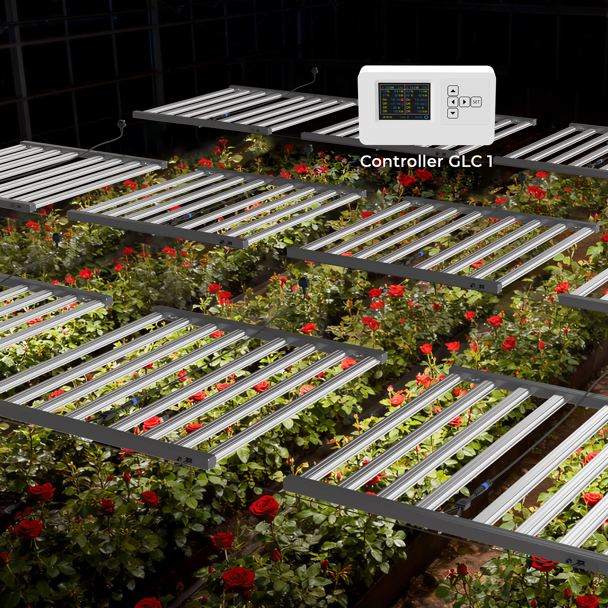 Medic Grow MEDIC BOX 07 Dimmable Full-Spectrum LED Grow Light 720w for 4x4 Planting - Medicgrow
