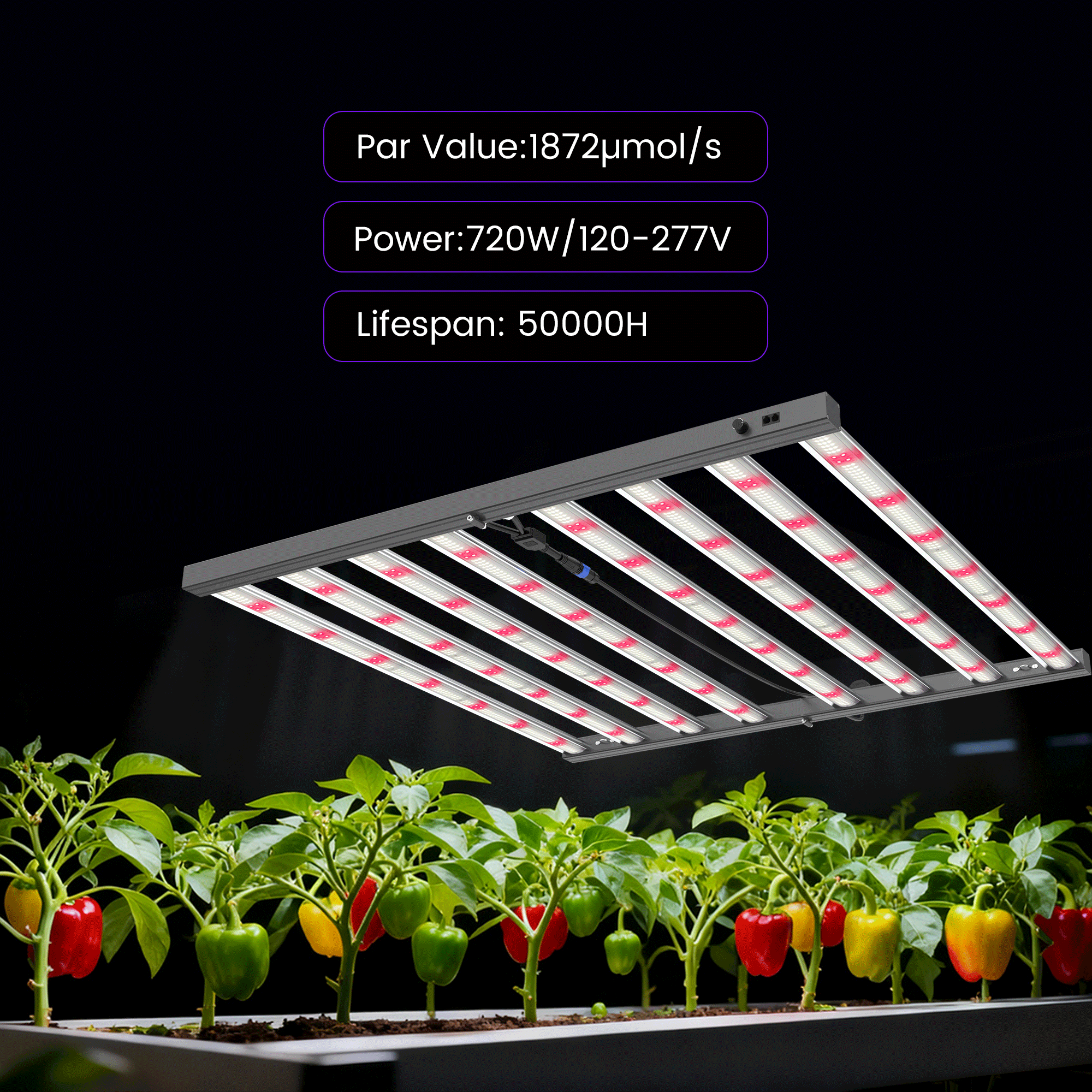 Medic Grow MEDIC BOX 07 Dimmable Full-Spectrum LED Grow Light 720w for 4x4 Planting - Medicgrow