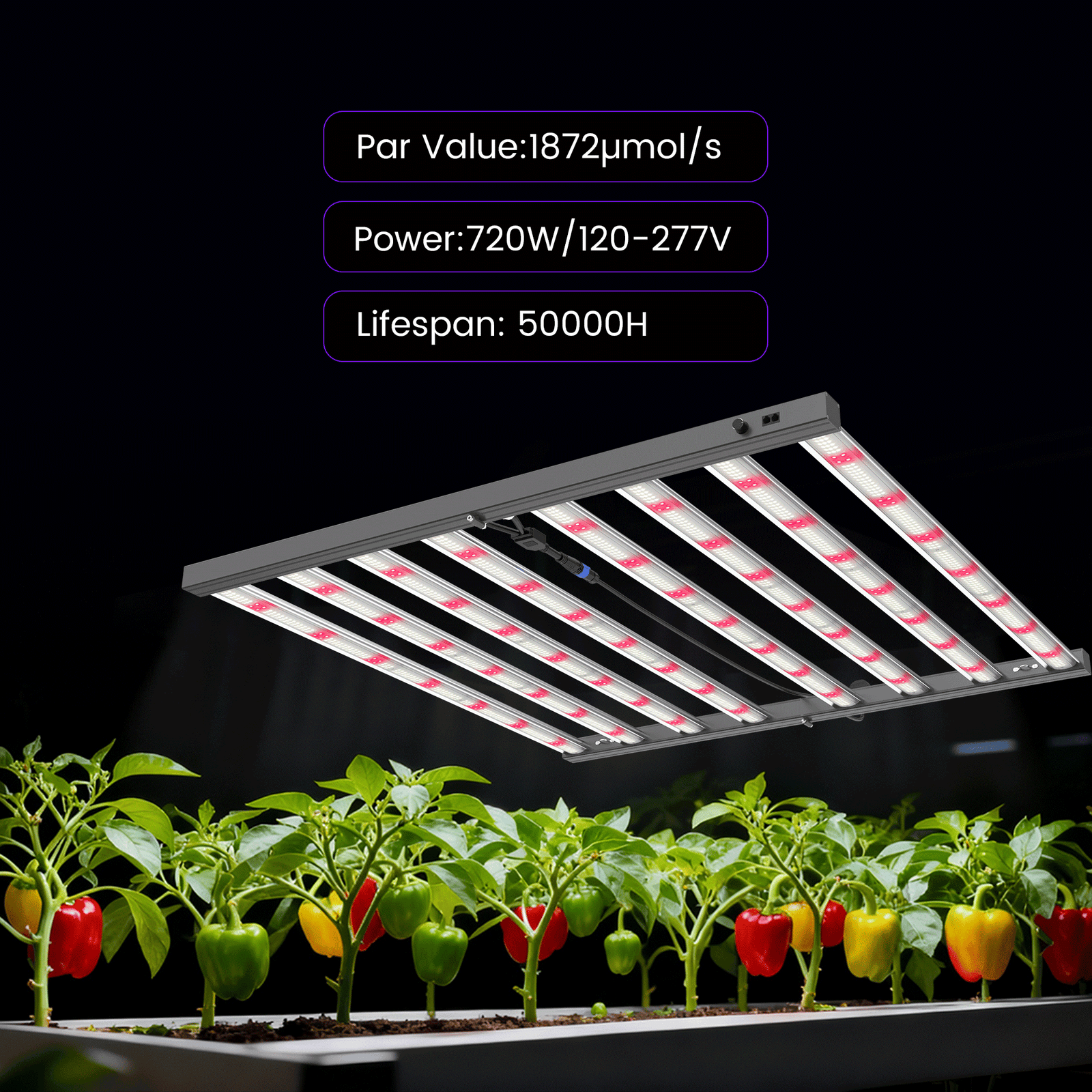 Medic Grow MEDIC BOX 07 Dimmable Full-Spectrum LED Grow Light 720w for 4x4 Planting - Medicgrow