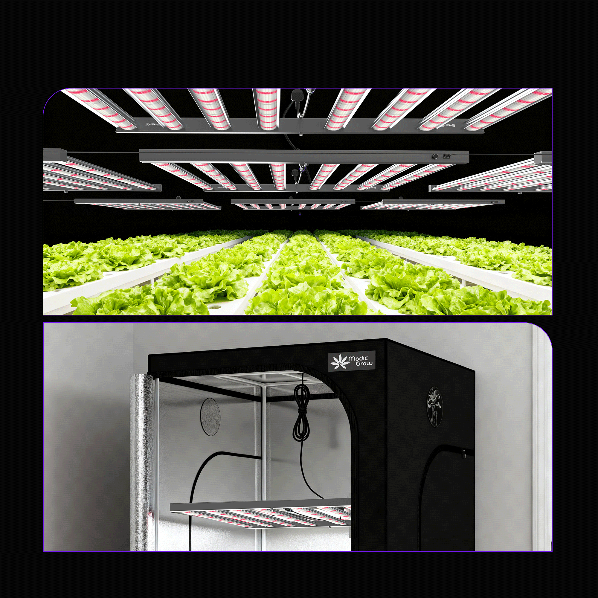 Medic Grow MEDIC BOX 07 Dimmable Full-Spectrum LED Grow Light 720w for 4x4 Planting - Medicgrow