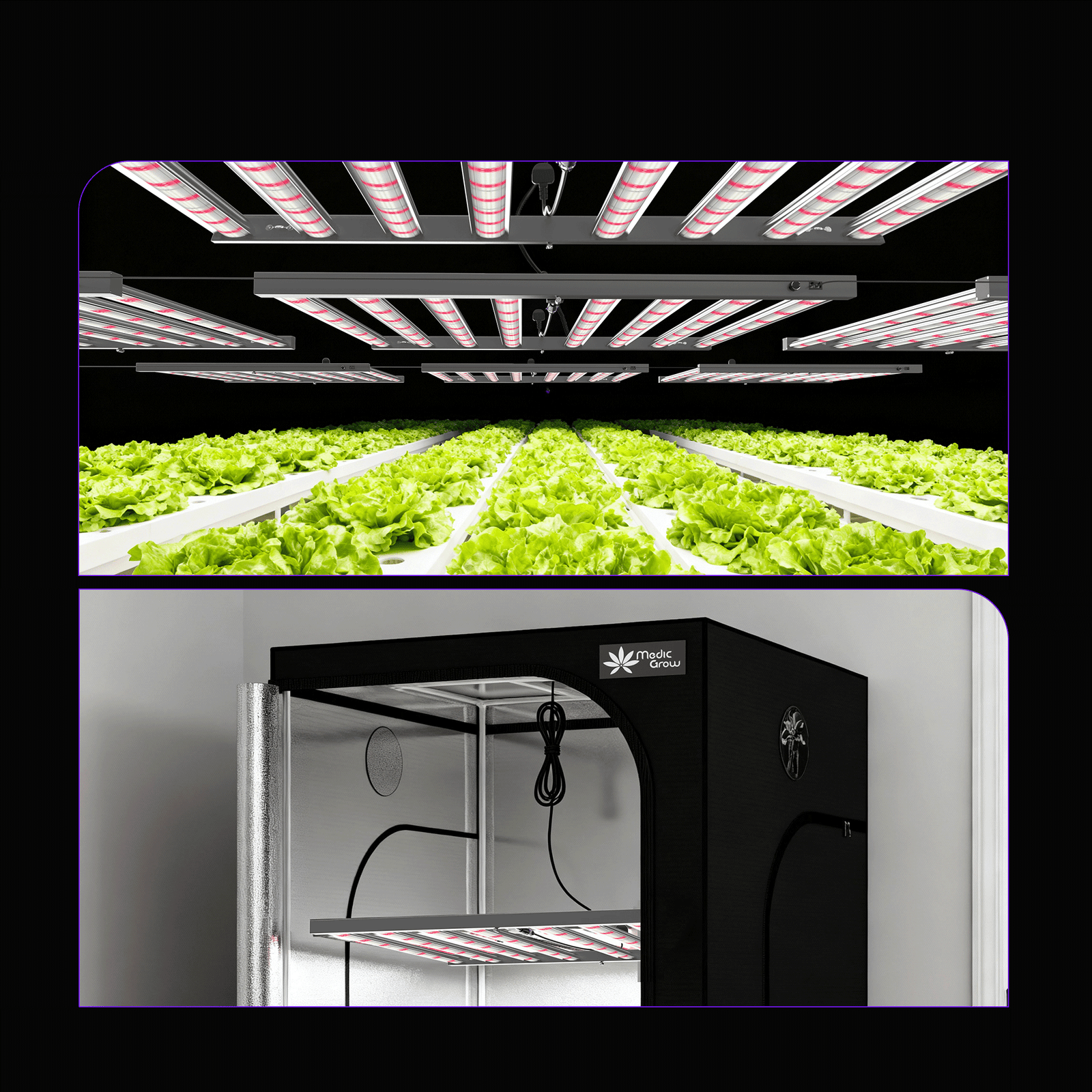 Medic Grow MEDIC BOX 07 Dimmable Full-Spectrum LED Grow Light 720w for 4x4 Planting - Medicgrow