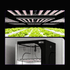 Medic Grow MEDIC BOX 07 Dimmable Full-Spectrum LED Grow Light 720w for 4x4 Planting - Medicgrow