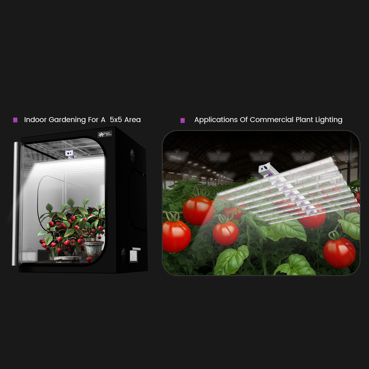 Medic Grow Ez-8 Smart Dimmable Full Spectrum 1000 Watt LED Grow Light for 5X5 Planting - Medicgrow