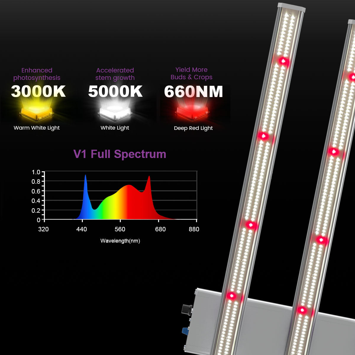 Medic Grow Ez-8 Smart Dimmable Full Spectrum 1000 Watt LED Grow Light for 5X5 Planting - Medicgrow