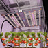 UV + FR 4 ft Supplemental LED Grow Light Bar - Medicgrow