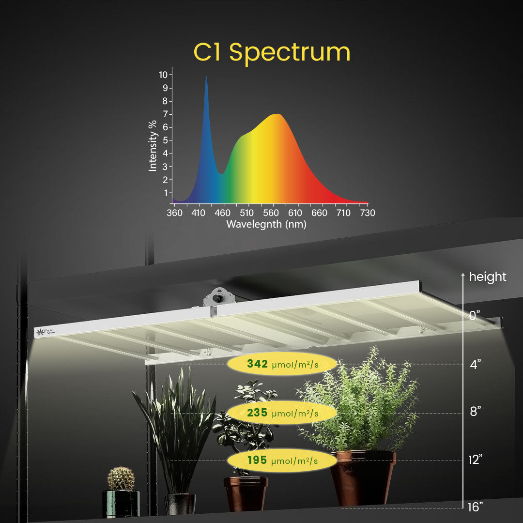 Medic Grow Venus Full Spectrum Cost-Effective 200W LED Grow Light for Vegetative and Beginner: 2X4FT - Medicgrow