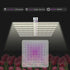 Medic Grow Ez-8 Smart Dimmable Full Spectrum 1000 Watt LED Grow Light for 5X5 Planting - Medicgrow