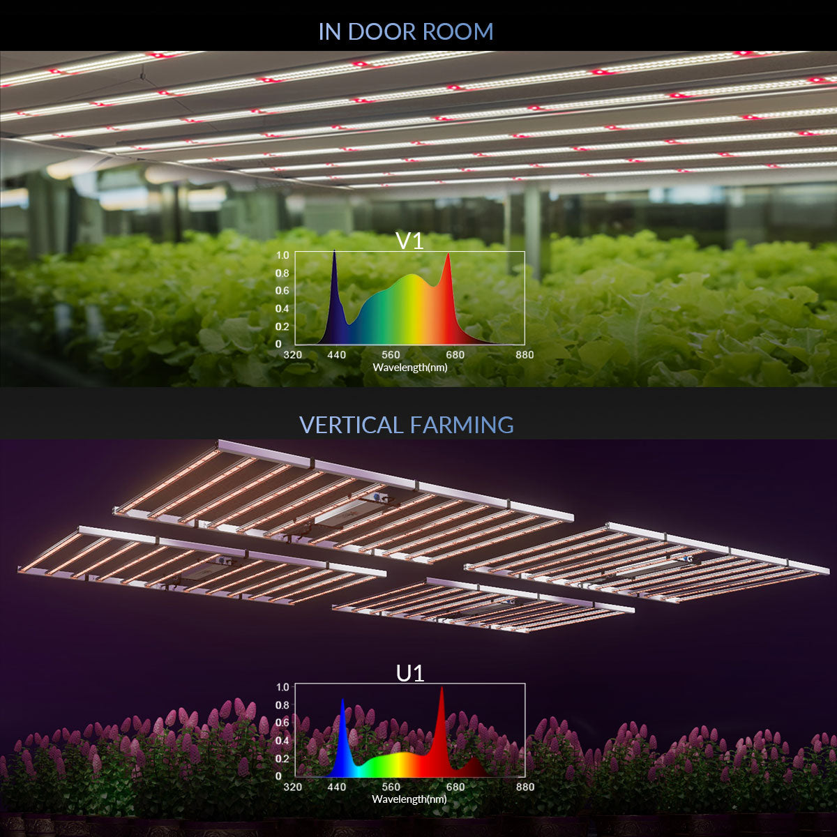 Medic Grow Fold 1200 Watt Commercial Red and Blue Full Spectrum LED Grow Light ETL & DLC Certified for 4X6 Planting - Medicgrow