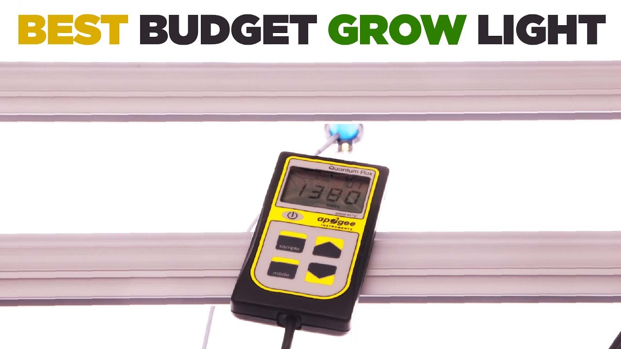800W LED GROW LIGHTS