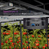 Medic Grow Spectrum X 780-880W Adjustable Full Spectrum UV and FR Commercial LED Grow Light for 5X5FT - Medicgrow